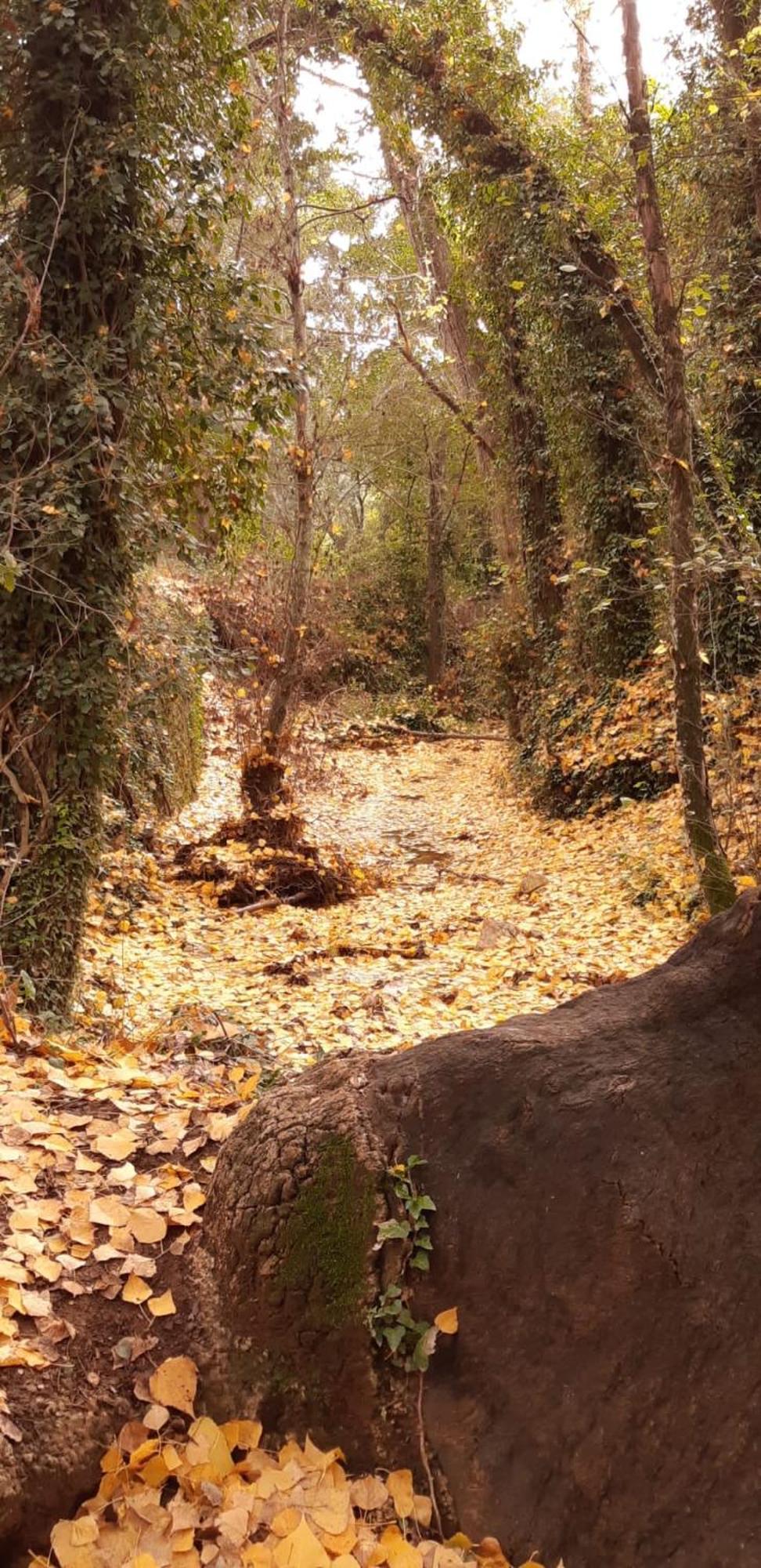 Alojamiento Rural El Castano Fuenteheridos Extérieur photo